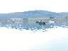 65 Lac de Chalain 22 mars 2013